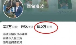 缅甸海波最新爆料,最新爆料背后的惊人真相